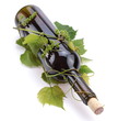 Bottle of wine