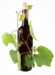 Bottle of wine twined with vine