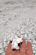 salt lake desert