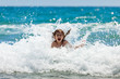 Little girl at sea in sunny day