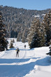 Ski de fond à Larselle #1