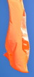 orange orange