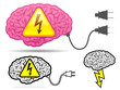 High coltage brain collection with connector plug