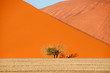Giant dunes