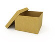 Empty opened cardboard box