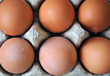 half a dozen eggs