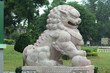 Chinese lion statue 01 Chinese lion statue 01