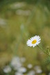 Foto: küss mich küss mich