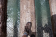 Go over the river