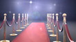 Flash Bulb Runway (HD Video)