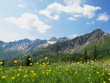 Bergblumenwiese Wolken Kanzelwand