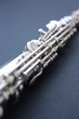 Flute Fascination