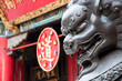 Lion Guardian