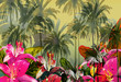 tropical lilly scenic tropical lilly scenic