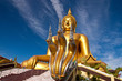 Big historical Buddha
