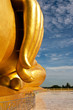 Buddha's hand
