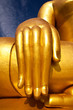 Hand of Buddha