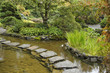 A stream and path from stones A stream and path from stones