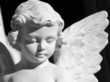 angel angel