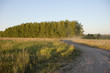 the road
