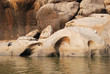 River near rock