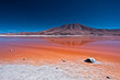 Reflection at Laguna Colorada in the Bolivian Desert
