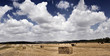 Hay bale in a golden dry field with cloudy blue sky, Israel