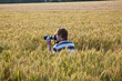 boy takes pictures in corn field