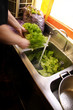 rincer la salade