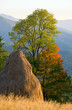 Autumn in mountain