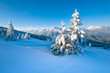 Snowy landscape Snowy landscape