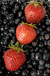 Berries