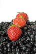 Berries