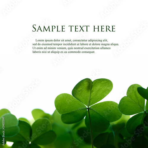 Foto: Green clover leafs border with space for text. Green clover leafs border with space for text.