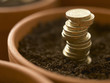 Close up of stack of pound coins growing in flowerpot