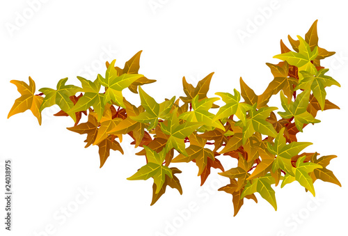 Illustration: Herbstlaub Herbstlaub