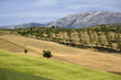 "Valley, Alhama de Granada, Spain"