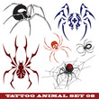 templates spiders for tattoo and design on different topics