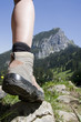 wandern in den alpen wandern in den alpen
