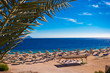 Red sea coast