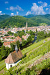 grand cru vineyard and Chapel of St. Urban, Thann, Alsace, Franc