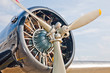 oldtimer