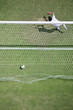Soccer goalie missing soccer ball