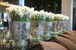 bunches of white narcissus