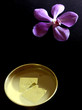 Huiles essentielles