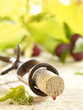 cork and corkskrew