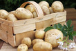 Foto: Kartoffeln Kartoffeln