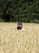 fotographer in corn field with camera