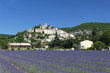 provençal provençal
