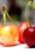 cerises